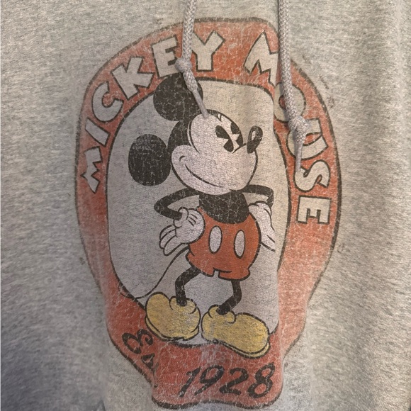 Disneyland Parks Mickey Mouse Sweatshirt Hoodie Unisex Small Heather Gray - Picture 2 of 5